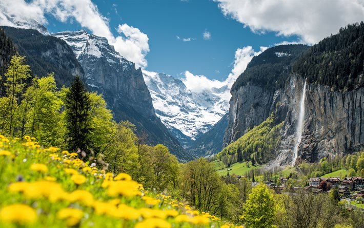 Queda de Staubbach, Alpes, cachoeira, paisagem montanhosa, flores silvestres amarelas, cachoeiras da Su&#237;&#231;a, Europa, Lauterbrunnen, Su&#237;&#231;a, Terras Altas de Berna