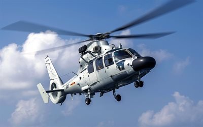 ハルビンZ-9, ハイトゥン, 人民解放軍海軍, 中国軍のヘリコプター, Z-9D, 中国海軍