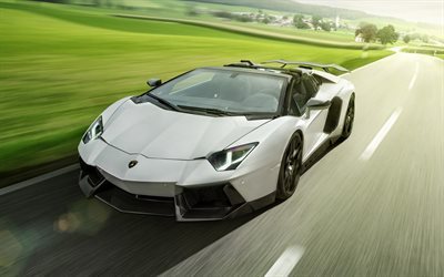 Lamborghini Aventador, 2017, Roadster, supercar, white Lamborghini