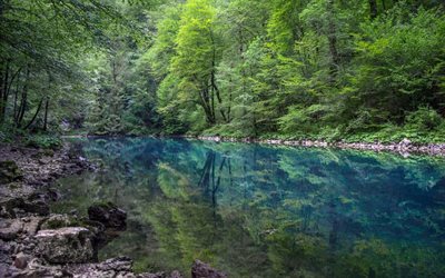skogen, blue lake, berg, emerald lake, skogslandskapet, gr&#246;na tr&#228;d
