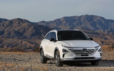 4k, Hyundai FCEV, offroad, 2018 cars, hydrogen vehicles, korean cars, Hyundai