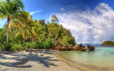 tropiska &#246;ar, beach, ocean, palmer, Lelintah, West Papua, Indonesien