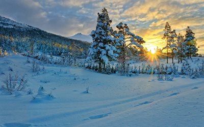 Kış manzara, g&#252;n batımı, kar, kış, dağ manzarası, Hedmark Fylke, Berg, Norve&#231;