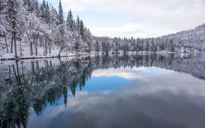 paysage d&#39;hiver, lac, neige, arbres, ciel bleu, givre, hiver