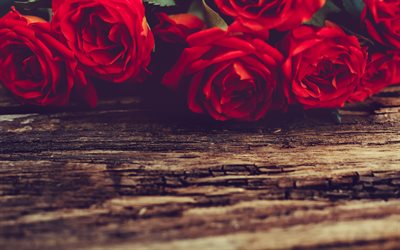 red roses, romance, old wooden boards, rosebuds, red flowers