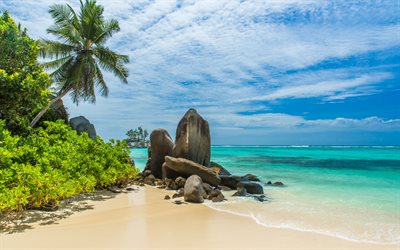 trooppinen saari, Malediivit, blue lagoon, ocean, azure, ranta, palmuja, rannikolla, kes&#228; kulkee