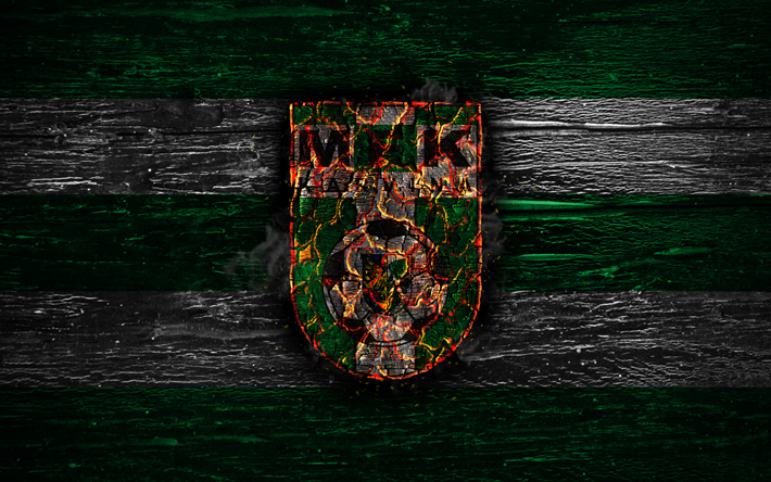 Karvina FC, el fuego logotipo, checa Primero de la Liga, el verde y el blanco de las l&#237;neas, checa club de f&#250;tbol, el grunge, el MFK Karvina, f&#250;tbol, Karvina logotipo, textura de madera, Rep&#250;blica checa