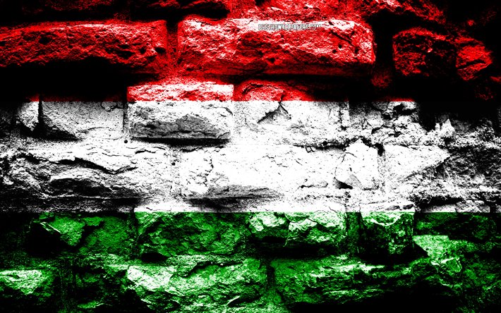 Hungria bandeira, grunge textura de tijolos, Bandeira da Hungria, bandeira na parede de tijolos, Hungria, Europa, bandeiras de pa&#237;ses europeus