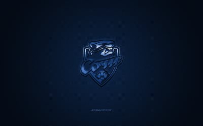 FC Sochi, Russo futebol clube, Russian Premier League, azul do logotipo, azul de fibra de carbono de fundo, futebol, Sochi, R&#250;ssia, FC Sochi logotipo