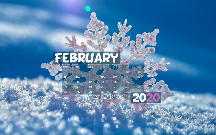 Februari 2020 Kalender, 4k, sn&#246;flingor, 2020 kalender, vinter, Februari 2020, kreativa, vinterlandskap, Februari 2020 kalender med sn&#246;flingor, Kalender Februari 2020, bl&#229; bakgrund, 2020 kalendrar