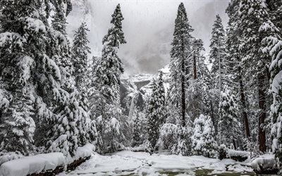 冬景色, 滝, 山の風景, 雪, 冬, 森林, 山の滝