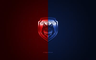 FC Tambov, russo club di calcio, la Premier League russa, rosso-blu, logo, contesto in fibra di carbonio, calcio, Tambov, Russia, FC Tambov logo