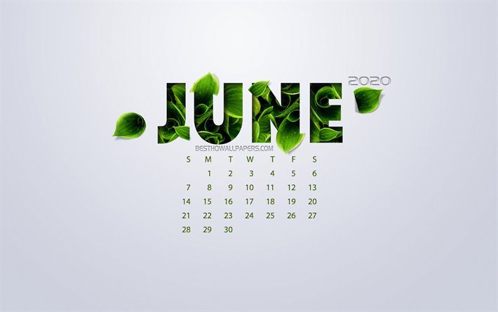 June 2020 Calendar, eco concept, green leaves, June, white background, 2020 summer calendar, 2020 concepts, 2020 June Calendar