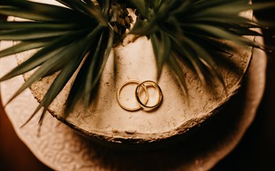 anelli di nozze, matrimonio, sulle isole, foglie di palma, anelli d&#39;oro, concetti di nozze