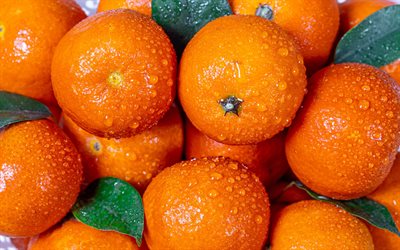 mandariinit, sitruksia, hedelm&#228;t, oranssi tangeriinit, taustan kanssa mandariinit