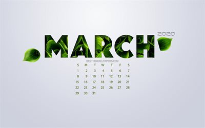 Mart 2020 Takvim, eko kavramı, yeşil yapraklar, Mart, beyaz arka plan, 2020 bahar takvimi, 2020 kavramlar, 2020 Mart Takvim