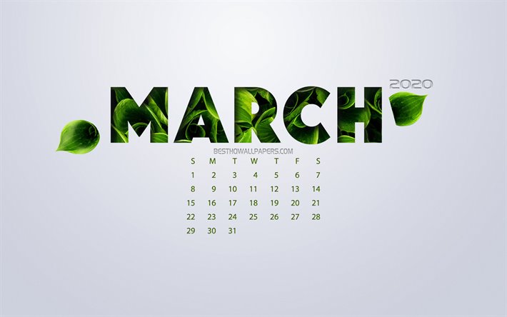 En mars 2020 Calendrier, eco concept, feuilles vertes, Mars, fond blanc, 2020 printemps calendrier, 2020 concepts, 2020 Mars Calendrier