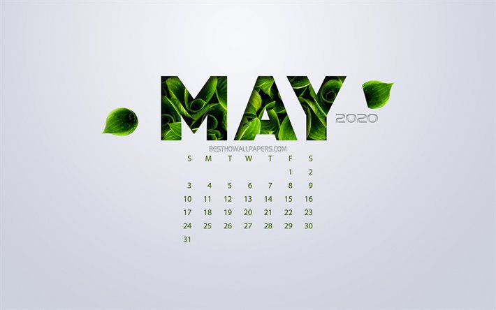 De mayo de 2020 Calendario, eco concepto, hojas verdes, Mayo, fondo blanco, 2020 primavera calendario, 2020 conceptos, 2020 Calendario de Mayo