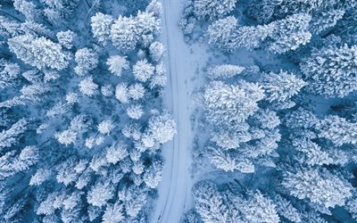 in inverno, la foresta, la neve, la strada nel bosco, veduta aerea, foresta, vista dall&#39;alto, alberi coperti di neve
