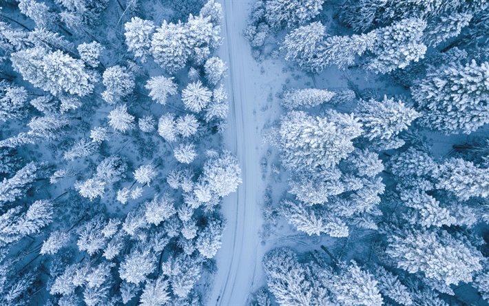 invierno, bosque, nieve, camino en el bosque, vista a&#233;rea, el bosque, vista desde arriba, los &#225;rboles cubiertos de nieve