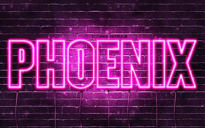 Phoenix, 4k, wallpapers with names, female names, Phoenix name, purple neon lights, horizontal text, picture with Phoenix name