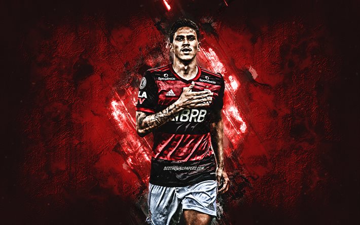 Pedro Guilherme, Flamengo, brazilian soccer player, red stone background, Serie A, Brazil, soccer, CR Flamengo