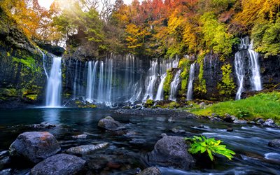 outono, cachoeira, pedras, conceitos de &#225;gua, cachoeira no outono, floresta
