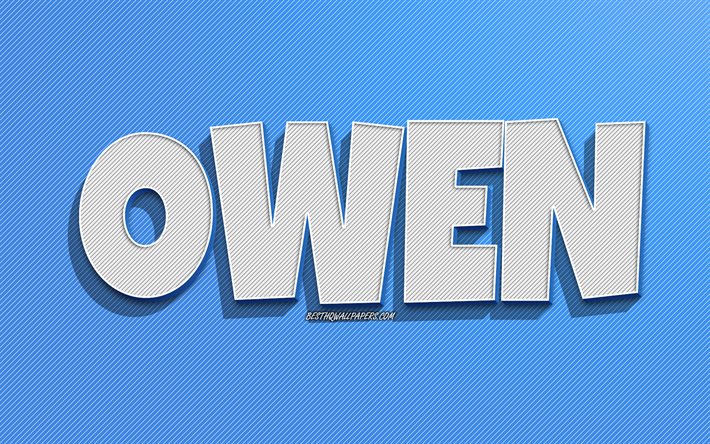 Owen, sfondo con linee blu, sfondi con nomi, nome di Owen, nomi maschili, biglietto di auguri di Owen, disegni al tratto, foto con nome di Owen