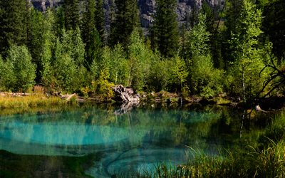 G&#233;iser Lago, bosque, lago azul, agua caliente, Altai, Monta&#241;as Altai