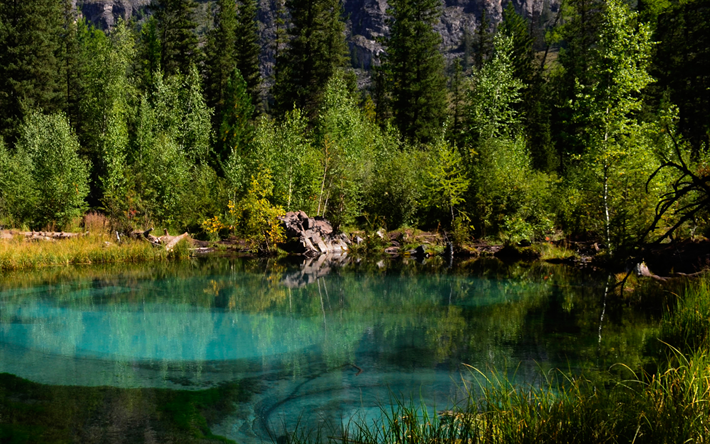 Geysir Lake, mets&#228;, blue lake, l&#228;mmint&#228; vett&#228;, Altai, Altai Mountains
