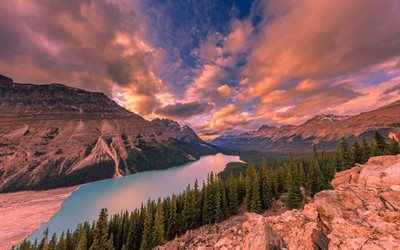 Peyto Lake, tramonto, foresta, montagne, Nord America, Canada