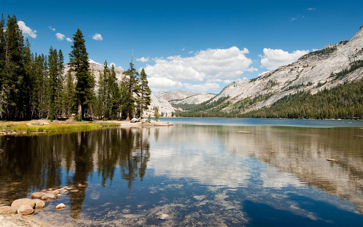 Il Tenaya Lake, 4k, glaciale, lago, montagna, USA, Yosemite Valley, Tuolumne Meadows, Parco Nazionale di Yosemite