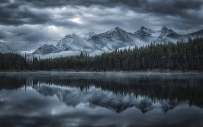 Herbert Lago, Alberta, manh&#227;, nevoeiro, montanhas, lago de montanha, floresta, O Parque Nacional De Banff, Canada