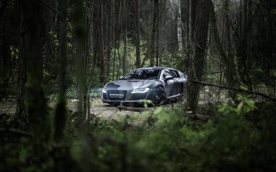 Audi R8, la optimizaci&#243;n, el bosque, 2018 coches, supercars, gris r8, los coches alemanes, el Audi
