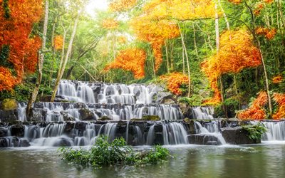 cascade waterfall, river, autumn landscape, forest, autumn, yellow trees, waterfall