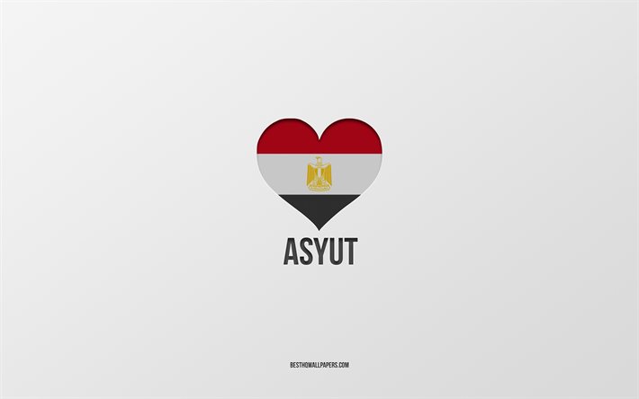 i love asyut, &#228;gyptische st&#228;dte, tag des asyut, grauer hintergrund, asyut, japan, herz der &#228;gyptischen flagge, lieblingsst&#228;dte, liebe asyut