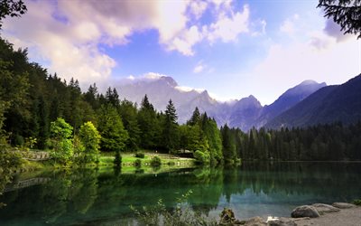 vuorijärvi, Alpit, aamu, auringonnousu, vuoristomaisema, Sveitsi, järvi, metsä