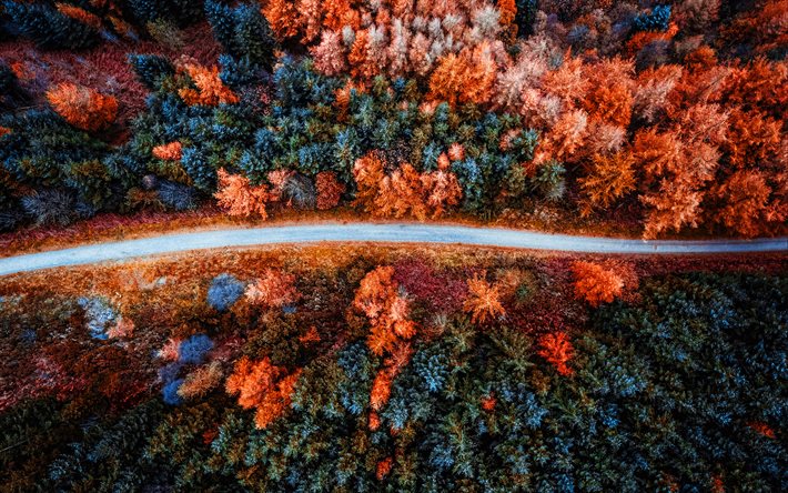 dry forest, 4k, aerial view, road, fir trees, drought, coniferous forest, beautiful nature, forest road, forest