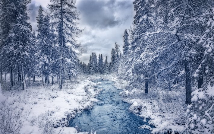 inverno, rio, neve, floresta, montanhas, Canad&#225;, Quebec