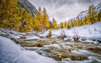 inverno, rio de montanha, neve, amarelo &#225;rvores, in&#237;cio do inverno, paisagem de montanha, EUA