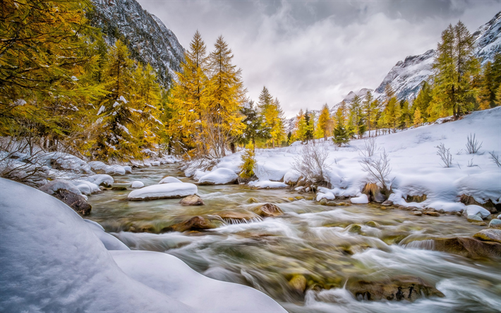 vinter, berg river, sn&#246;, gula tr&#228;d, tidig vinter, bergslandskapet, USA