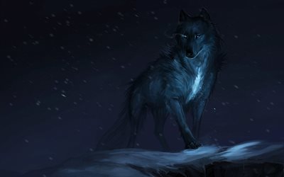 lobo, inverno, 4k, fantasia arte, noite, predador