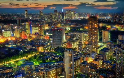 Tokyo, kv&#228;ll, stadens ljus, metropol, Japan
