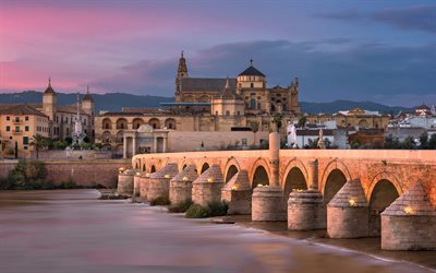 Cordoba, river, Roman bridge, spanish landmarks, Europe, Spain