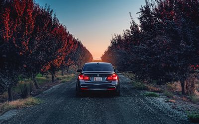 BMW M3, road, 2017 cars, F80, sunset, USA, new M3, german cars, BMW