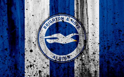 FC Brighton y Hove Albion, 4k, de la Liga Premier, logotipo, Inglaterra, f&#250;tbol, club de f&#250;tbol, el grunge, el Brighton and Hove Albion, el arte, la piedra de textura, Brighton y Hove Albion FC