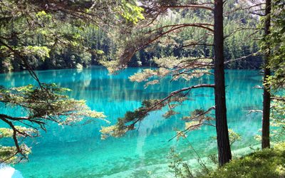 Lago verde, Gruner-Zee Lago, bosque, Estiria, Gruner Ver, el verano, el bosque, Austria, Europa