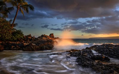 Hava&#237;, Maui, p&#244;r do sol, costa, oceano, ondas, palmeiras, Makena Cove, Do Oceano Pac&#237;fico
