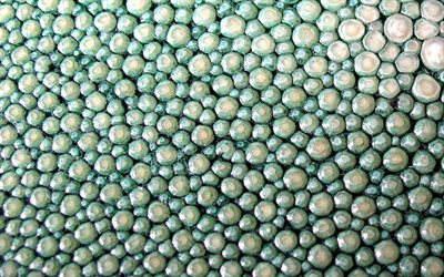 Green pearls texture, gems texture, background with pearls, texture with turquoise circles