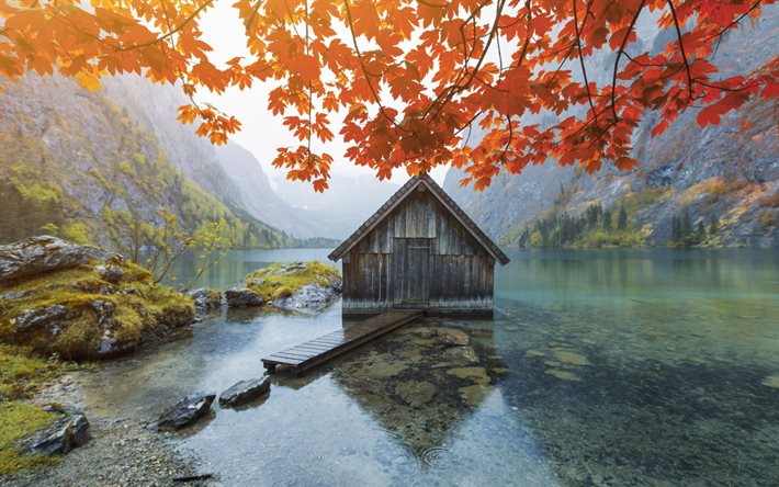 autunno, lago di montagna, Alpi, foglie gialle, paesaggio montano autunnale, Germania